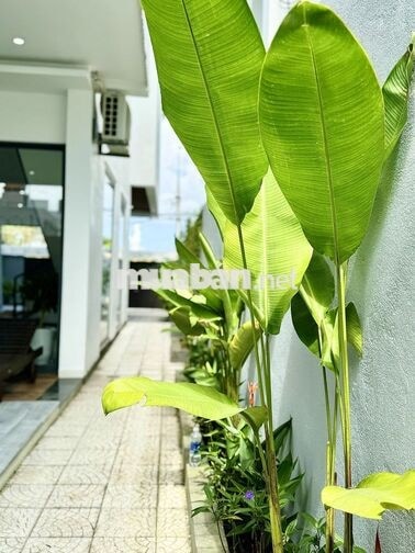 Cho Thuê Villa 5PN - Có Hồ Bơi Khu Nam Việt Á 