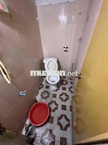 Nhà cho thuê nguyên căn Phạm Thế Hiển p6 quận 8 .  DT 7x7m2 1 trệt 1L