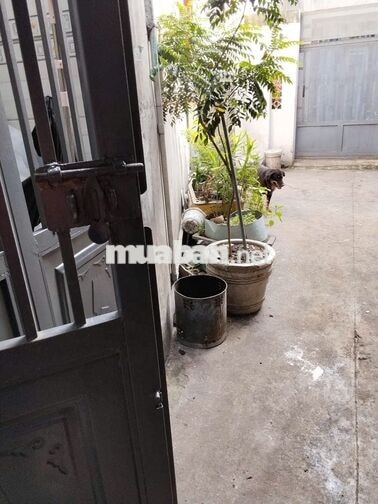 CHO THUÊ NHÀ MỄ CỐC PHƯỜNG 15- QUẬN 8