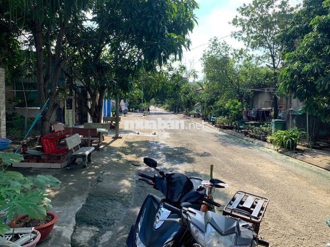 Bán đất đối diện KCN Hiệp Phước - Nhà Bè