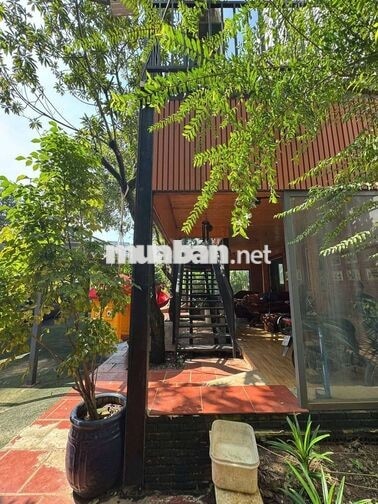 Cho Thuê Biệt Thự-800M²-4Tầng Thang Máy-Đường Nhựa 10M Thông Kinh Doan