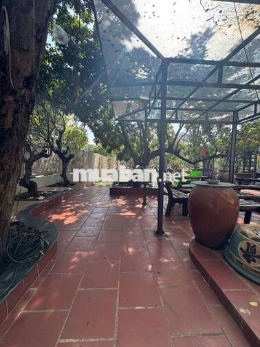 Cho Thuê Biệt Thự-800M²-4Tầng Thang Máy-Đường Nhựa 10M Thông Kinh Doan