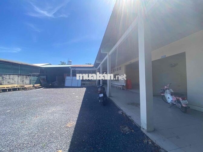cho thuê kho bãi 1000m2 đường container