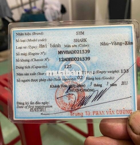 SYM Shark màu Nâu