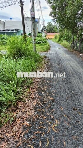 Cần bán lô đất gần trạm y tế xã Phước Lâm. Giá 380 Triệu/ 90m2 thổ cư