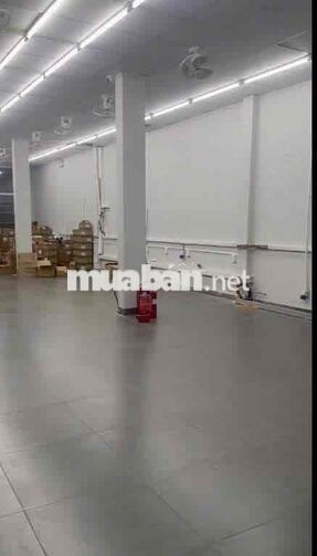 🔥 KHUÔN VIÊN RỘNG TÂY THẠNH, TÂN PHÚ – TỔNG DIỆN TÍCH SỬ DỤNG 1.000M²