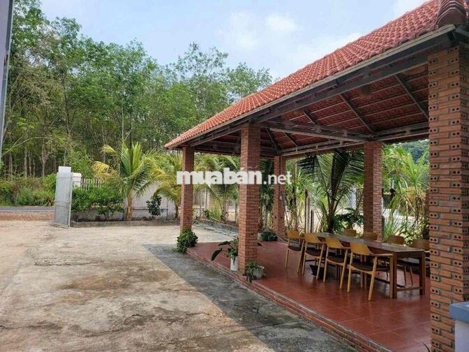 CHỦ KẸT TIỀN CẦN BÁN NHANH NHÀ VƯỜN