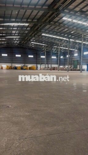 Cho Thuê 14.000m2 Nhà Xưởng Trong KCN Mỹ Phước, Bến Cát Bình Dương