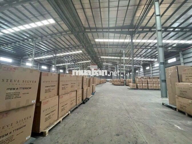 Cho Thuê 14.000m2 Nhà Xưởng Trong KCN Mỹ Phước, Bến Cát Bình Dương