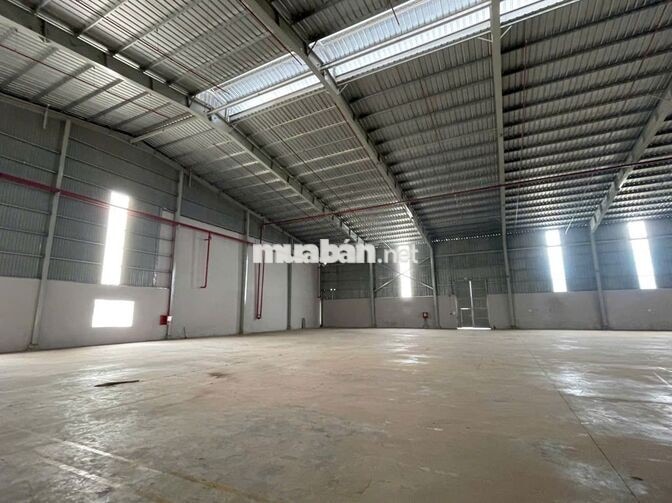 Cho Thuê 3.450m2 Nhà Xưởng Tại Bến Cát Bình Dương Giấy Tờ Đầy Đủ