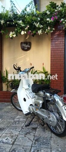 Honda Cup 81-86 50cc màu Ghi