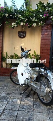 Honda Cup 81-86 50cc màu Ghi