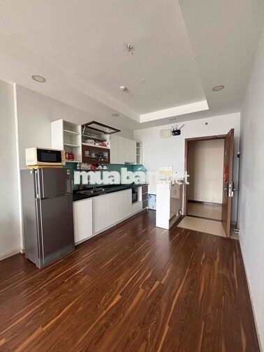 Cho thuê căn hộ 2pn 2wc chung cư Pegasuite 1, 1002 Tạ Quang Bửu, Quận