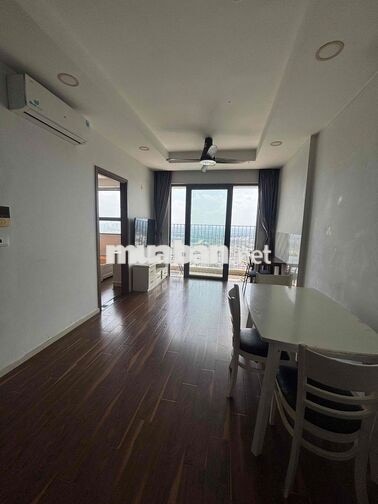 Cho thuê căn hộ 2pn 2wc chung cư Pegasuite 1, 1002 Tạ Quang Bửu, Quận