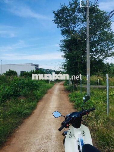 🔥 CẦN BÁN GẤP ĐẤT FULL THỔ CƯ 125M² – BẢO QUANG, LONG KHÁNH, ĐỒNG NAI