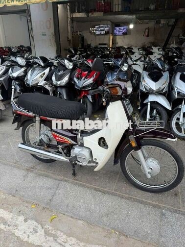 Honda Dream màu Nâu trắng