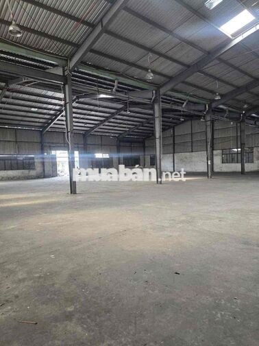 CHO THUÊ KHO 1800m2- 2300m2  QUẬN 12 – TP.HCM PCCC tự động
