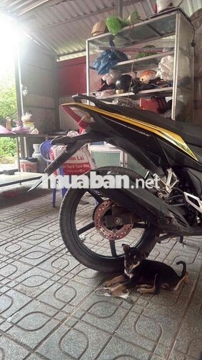 Honda Winner 49.000km Vàng đen