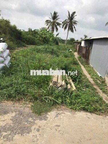 Bán đất tại Thị trấn Vĩnh Bình, 2800 m2, chính chủ giá ưu đãi
