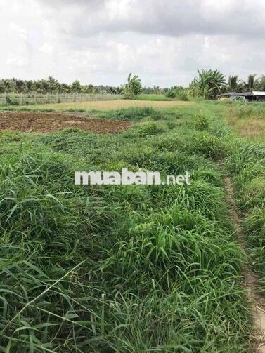 Bán đất tại Thị trấn Vĩnh Bình, 2800 m2, chính chủ giá ưu đãi