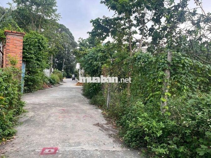 Cần bán đất 1/ song hành, kế bên trường c3 Hồ thị Bị, diện tích 5x24 