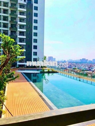 Cho thuê căn hộ Central Premium Q.8 