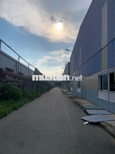 Cho thuê kho xưởng KCN Thuận Đạo  9.350m², điện 1.300KVA,  3.3 USD/m²