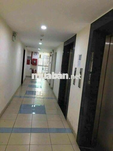 cho Thuê căn hộ chung cư đông hải 2PN 2WC PHÒNG TRỐN