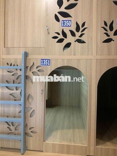 🔥SLEEPBOX Ngay Cầu Tham Lương, Ngã 3 Trường Chinh🔥