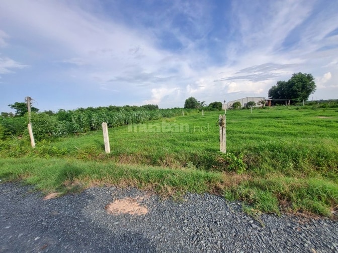 235m2 có thổ. Đường thông. Gần KCN. 450tr 