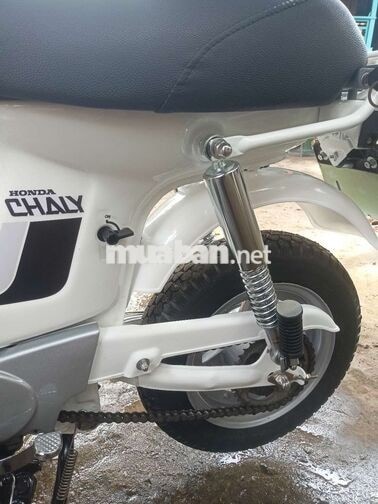HONDA CHALY 1984 MÀU TRẮNG