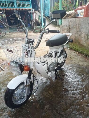 HONDA CHALY 1984 MÀU TRẮNG