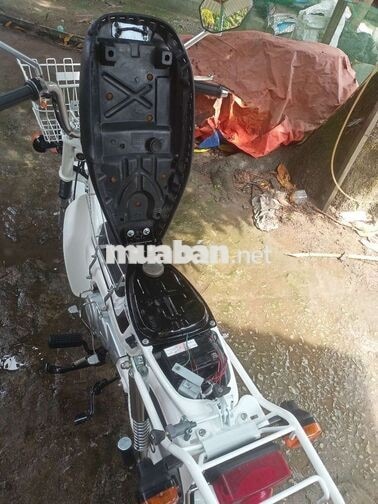 HONDA CHALY 1984 MÀU TRẮNG