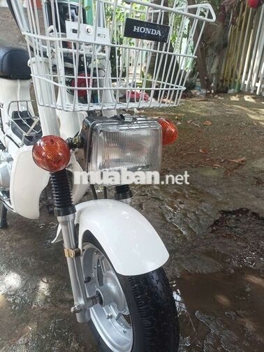 HONDA CHALY 1984 MÀU TRẮNG