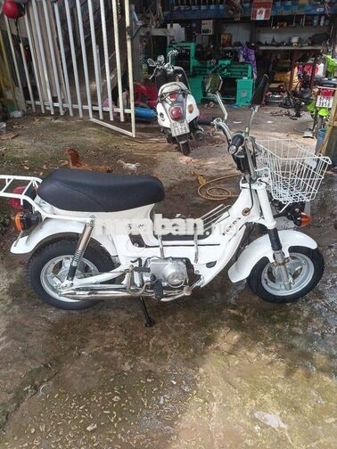 HONDA CHALY 1984 MÀU TRẮNG