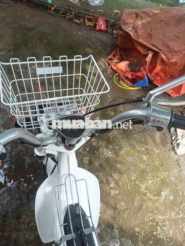 HONDA CHALY 1984 MÀU TRẮNG