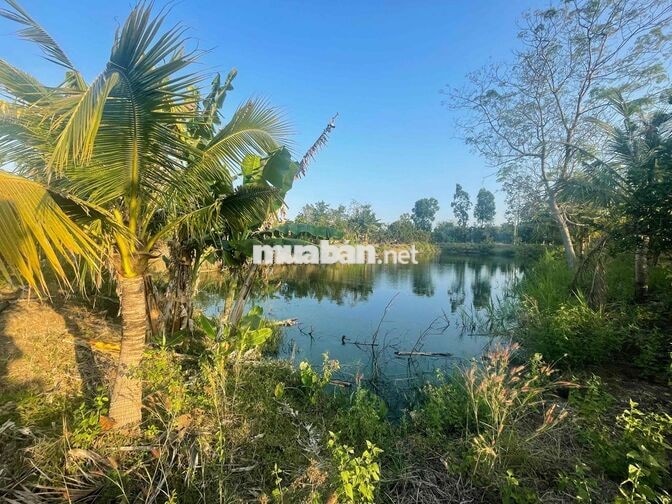 bán 20.000 m2 đất ở Xuyên Mộc, 145m mặt tiền