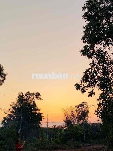 bán 20.000 m2 đất ở Xuyên Mộc, 145m mặt tiền