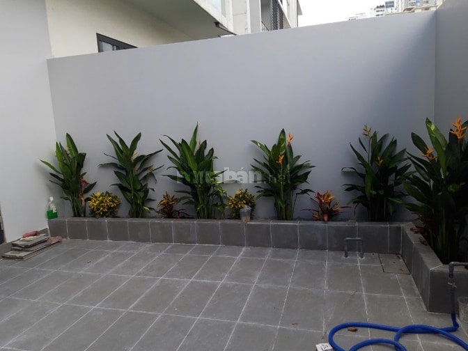 Cho thuê nhà làm văn phòng công ty, nhà sàn trống suốt
