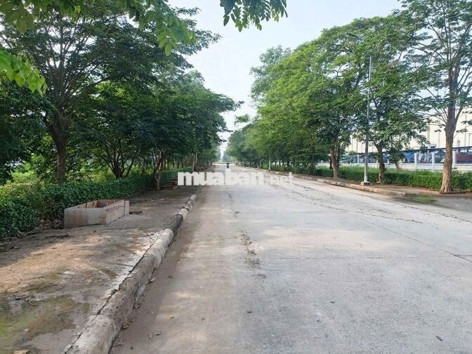 Cho Thuê Xưởng KCN Phú An Thạnh Bến Lức 3.400m², Giá 3,7 USD/m²