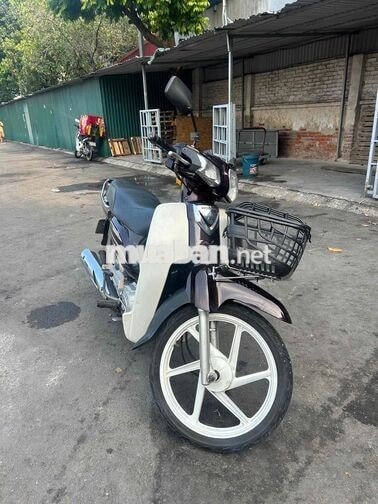 Honda Super Dream 2014 Đen trắng