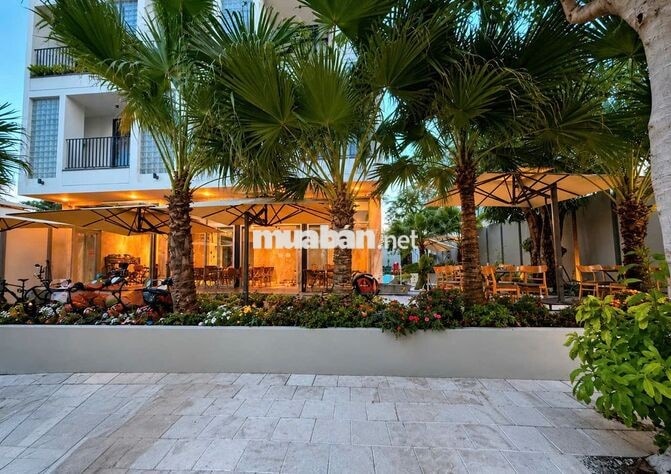 TRỐNG SẴN Studio View Biển - HỒ BƠI, Giặt Riêng - Gần Biển Mỹ Khê