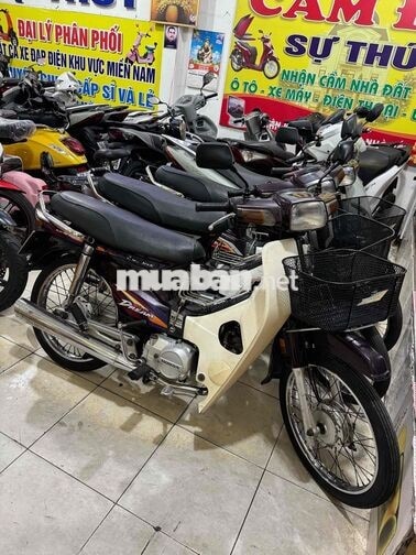 HONDA SUPER DREAM TÍM