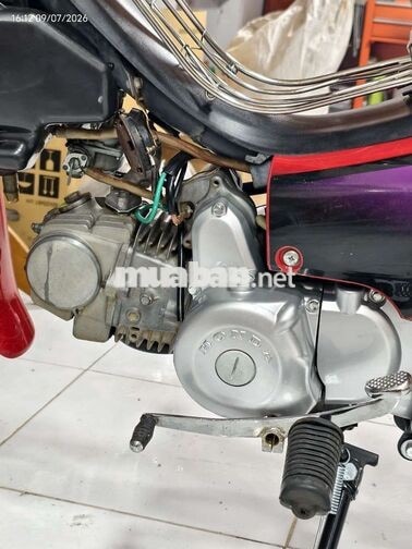 Honda Wave Alpha màu Đỏ