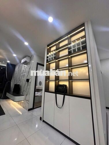 Bán căn hộ 1PN chung cư Cskyview Thủ Dầu Một,  đang có thu nhập 