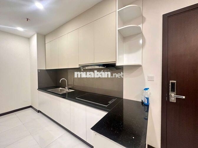 Bán căn hộ 1PN chung cư Cskyview Thủ Dầu Một,  đang có thu nhập 