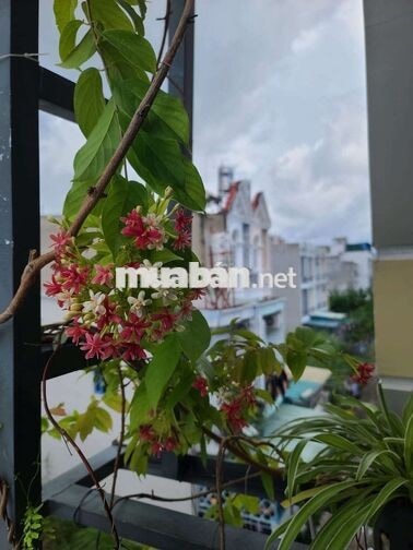 Nhà 2 tầng hẻm 2581 sát chung cư Anh Tuấn