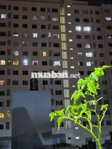 Nhà 2 tầng hẻm 2581 sát chung cư Anh Tuấn