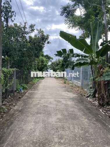 Đất Quanh hồ Quảng Thành, Kim Long, Châu Đức, Bà Rịa, Vũng Tàu