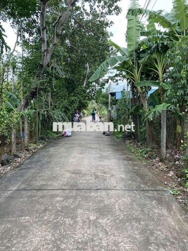 Đất Quanh hồ Quảng Thành, Kim Long, Châu Đức, Bà Rịa, Vũng Tàu